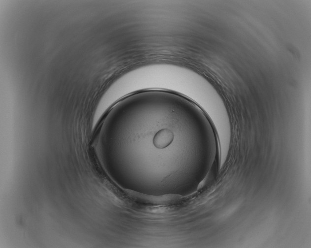 X0000112860219200908281611