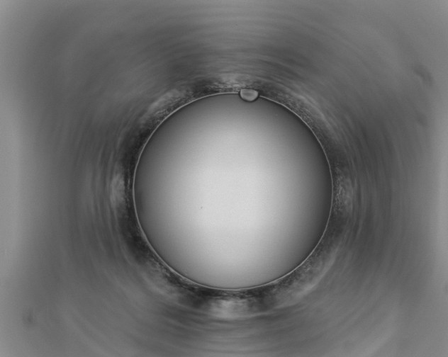 X0000112860220200908281611