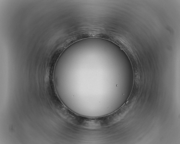 X0000112860221200908281611