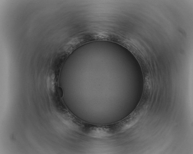 X0000112860223200908281611