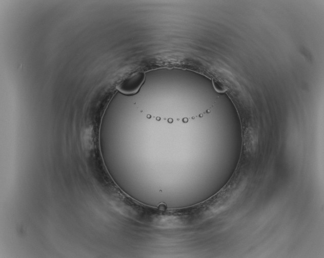 X0000112860224200908281611