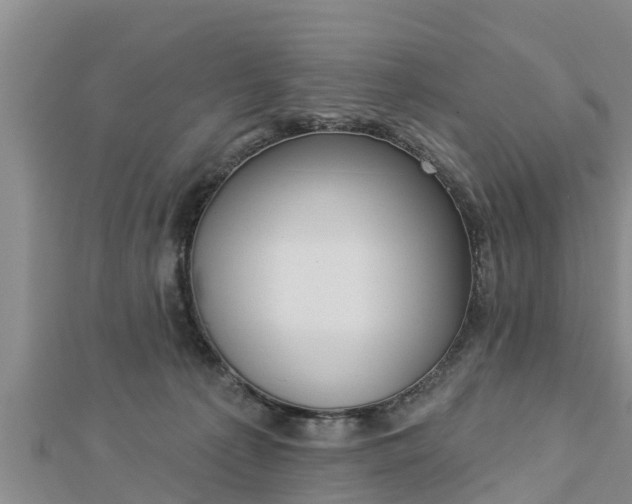 X0000112860225200908281611