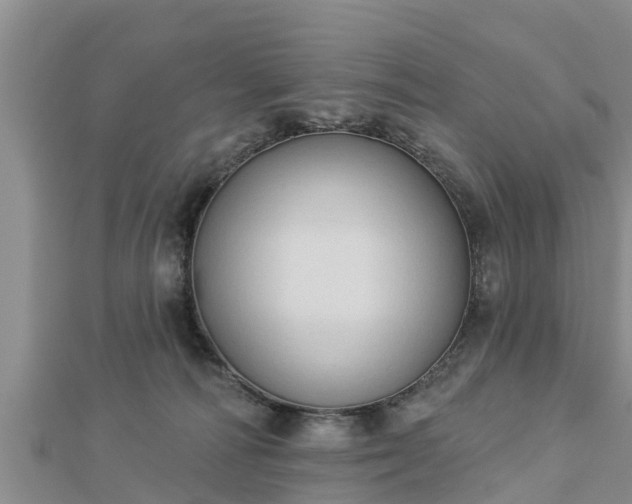 X0000112860226200908281611