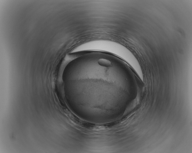 X0000112860227200908281611