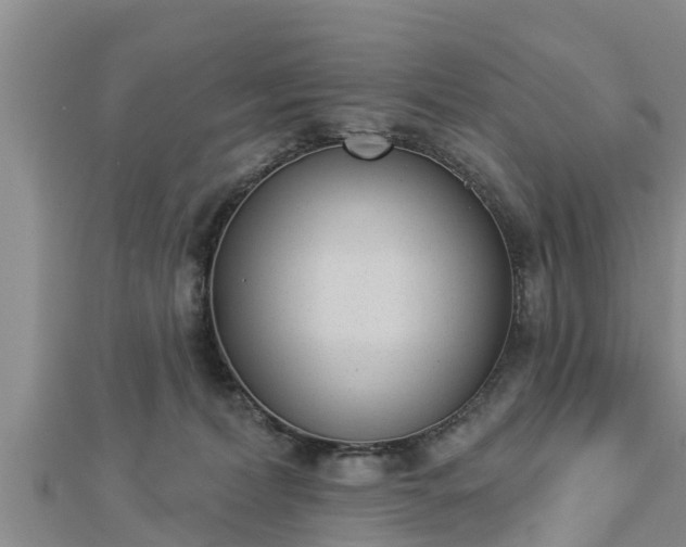 X0000112860228200908281611