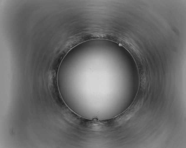 X0000112860229200908281611