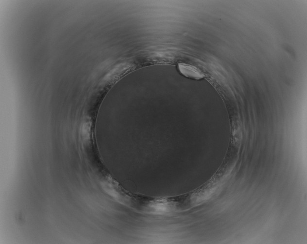 X0000112860231200908281610