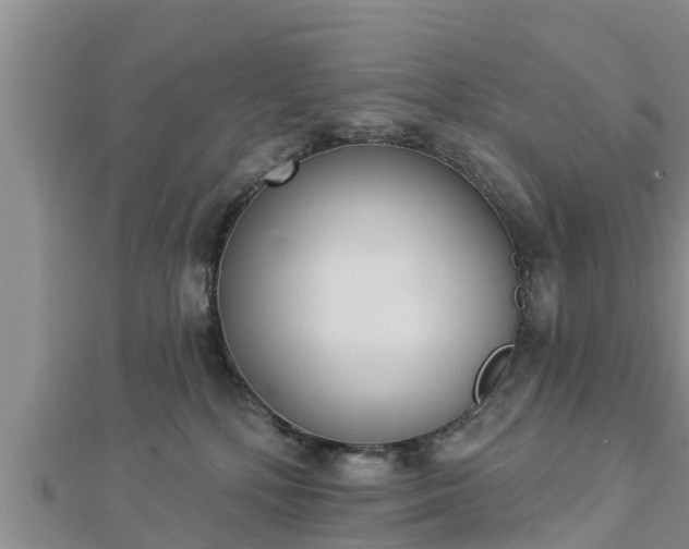 X0000112860232200908281610
