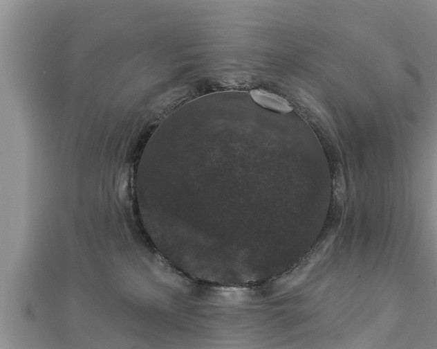 X0000112860233200908281610