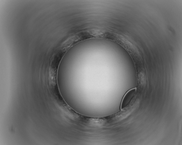 X0000112860234200908281610