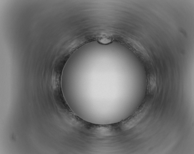 X0000112860236200908281610