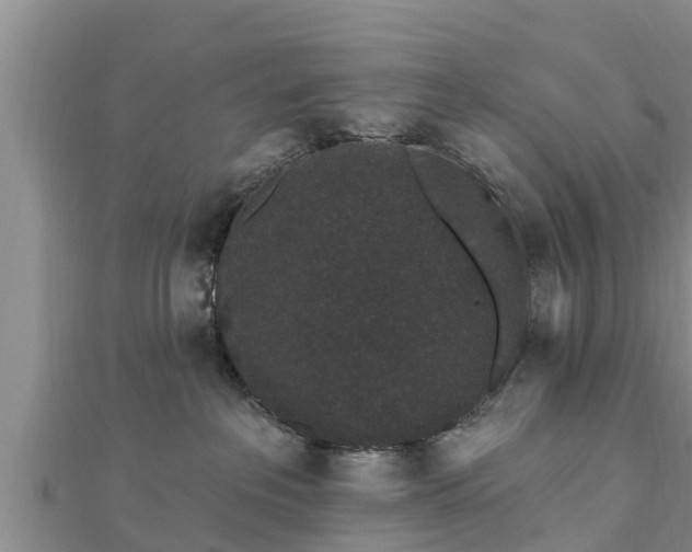 X0000112860237200908281610