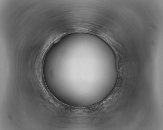 X0000112860241200908281610