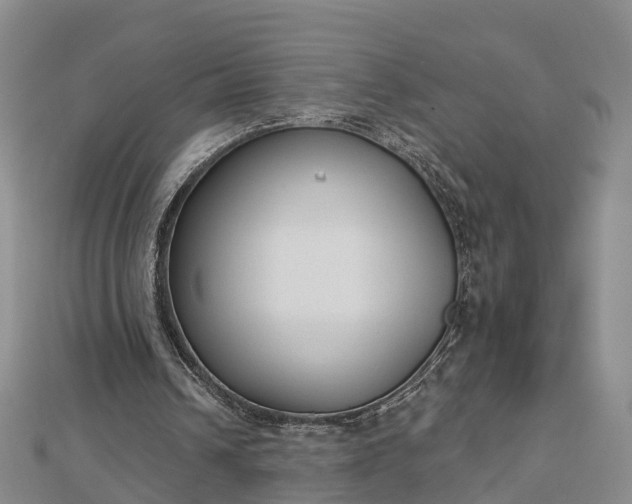 X0000112860242200908281610