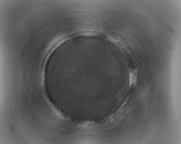 X0000112860243200908281610