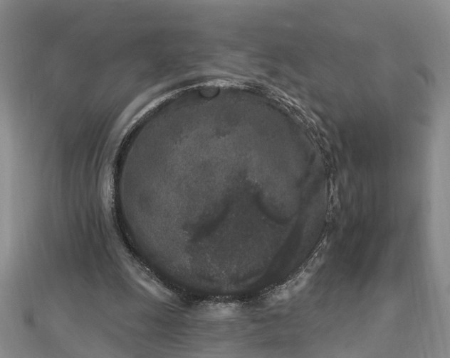 X0000112860247200908281610