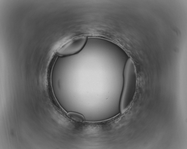 X0000112860248200908281610