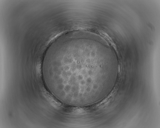 X0000112860249200908281610