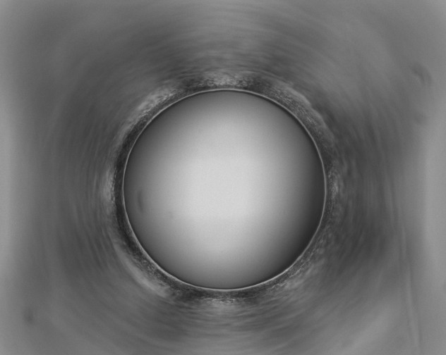 X0000112860250200908281610