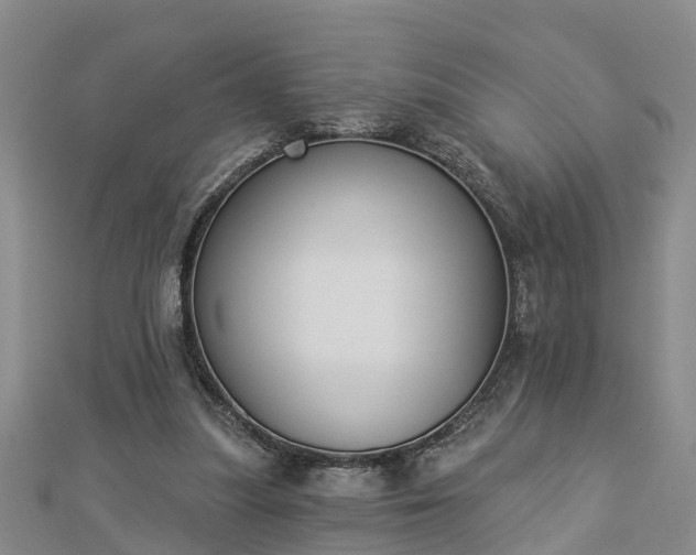 X0000112860251200908281610