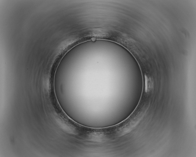 X0000112860252200908281610