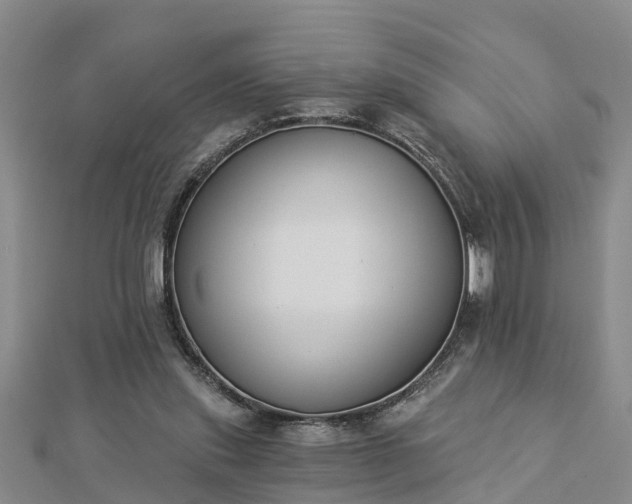 X0000112860253200908281610