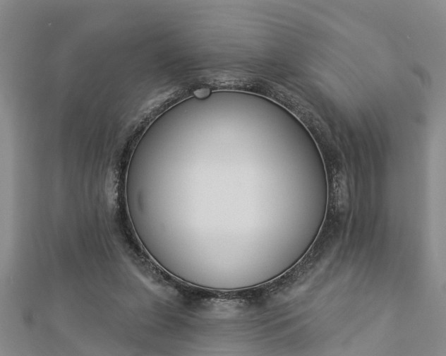 X0000112860255200908281610