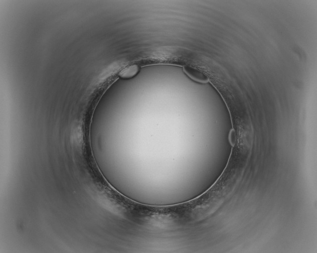 X0000112860256200908281610