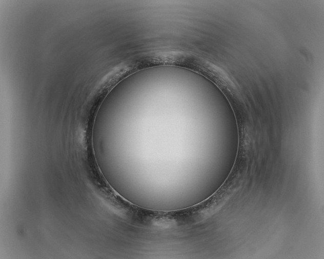 X0000112860258200908281610
