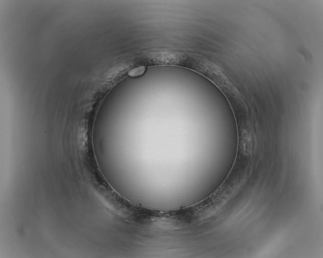 X0000112860259200908281610