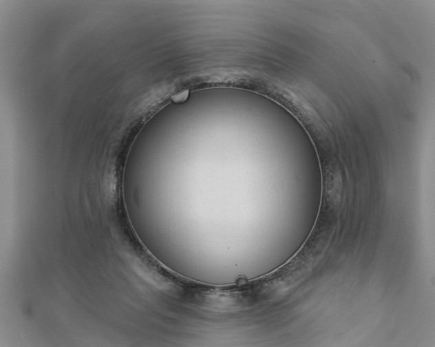 X0000112860261200908281610