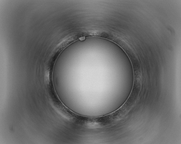 X0000112860262200908281610