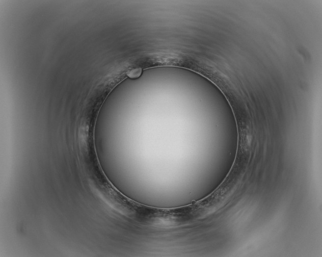 X0000112860263200908281610