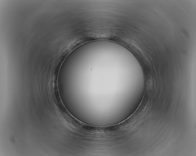 X0000112860264200908281610