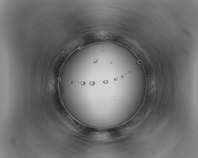 X0000112860266200908281610