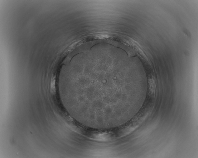 X0000112860267200908281610