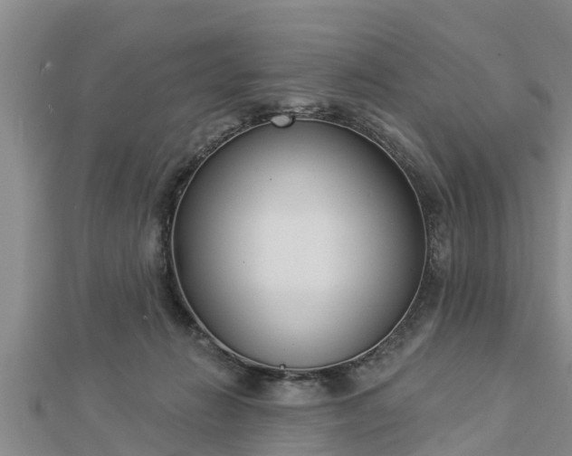 X0000112860270200908281610