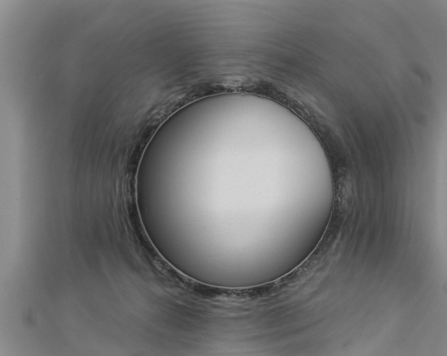 X0000112860272200908281610
