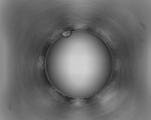 X0000112860273200908281610