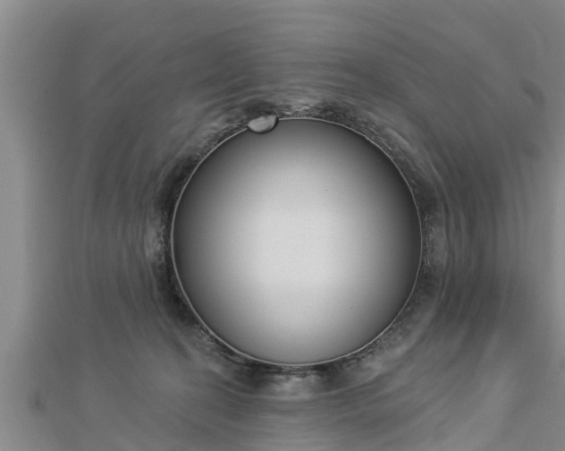 X0000112860274200908281610
