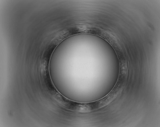 X0000112860275200908281610