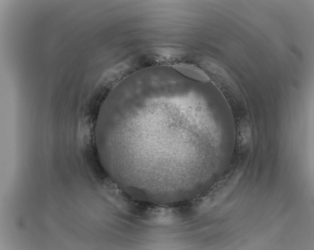 X0000112860276200908281610