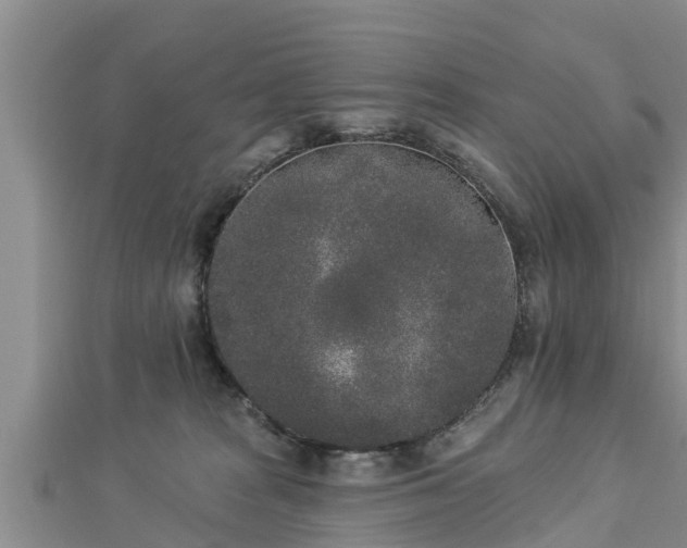 X0000112860277200908281610
