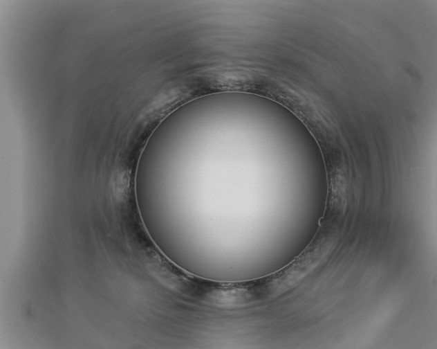 X0000112860278200908281610