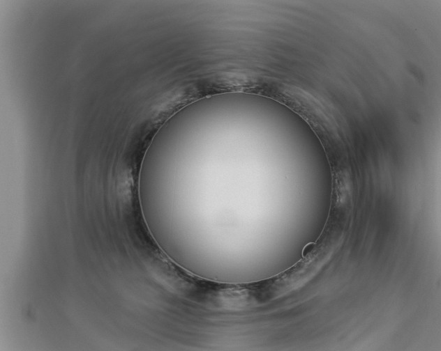 X0000112860279200908281610