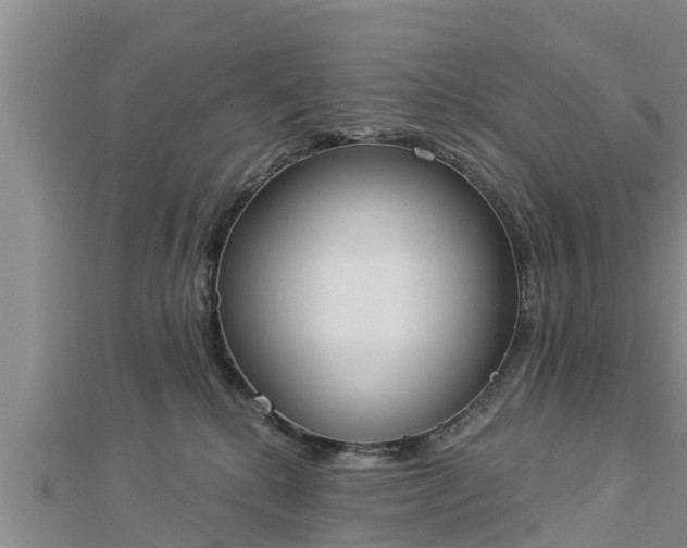 X0000112860280200908281610