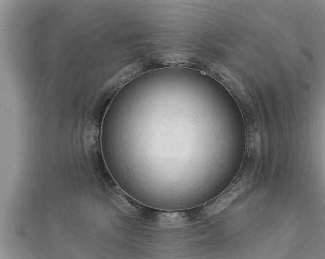 X0000112860281200908281610