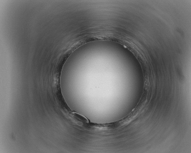 X0000112860284200908281610