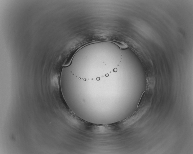 X0000112860286200908281610