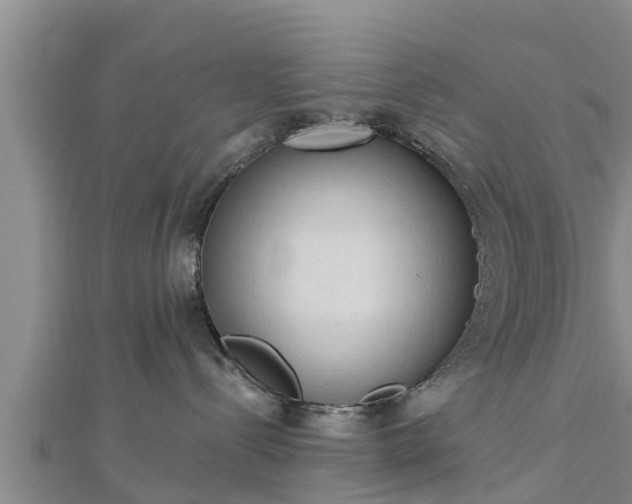 X0000112860288200908281610